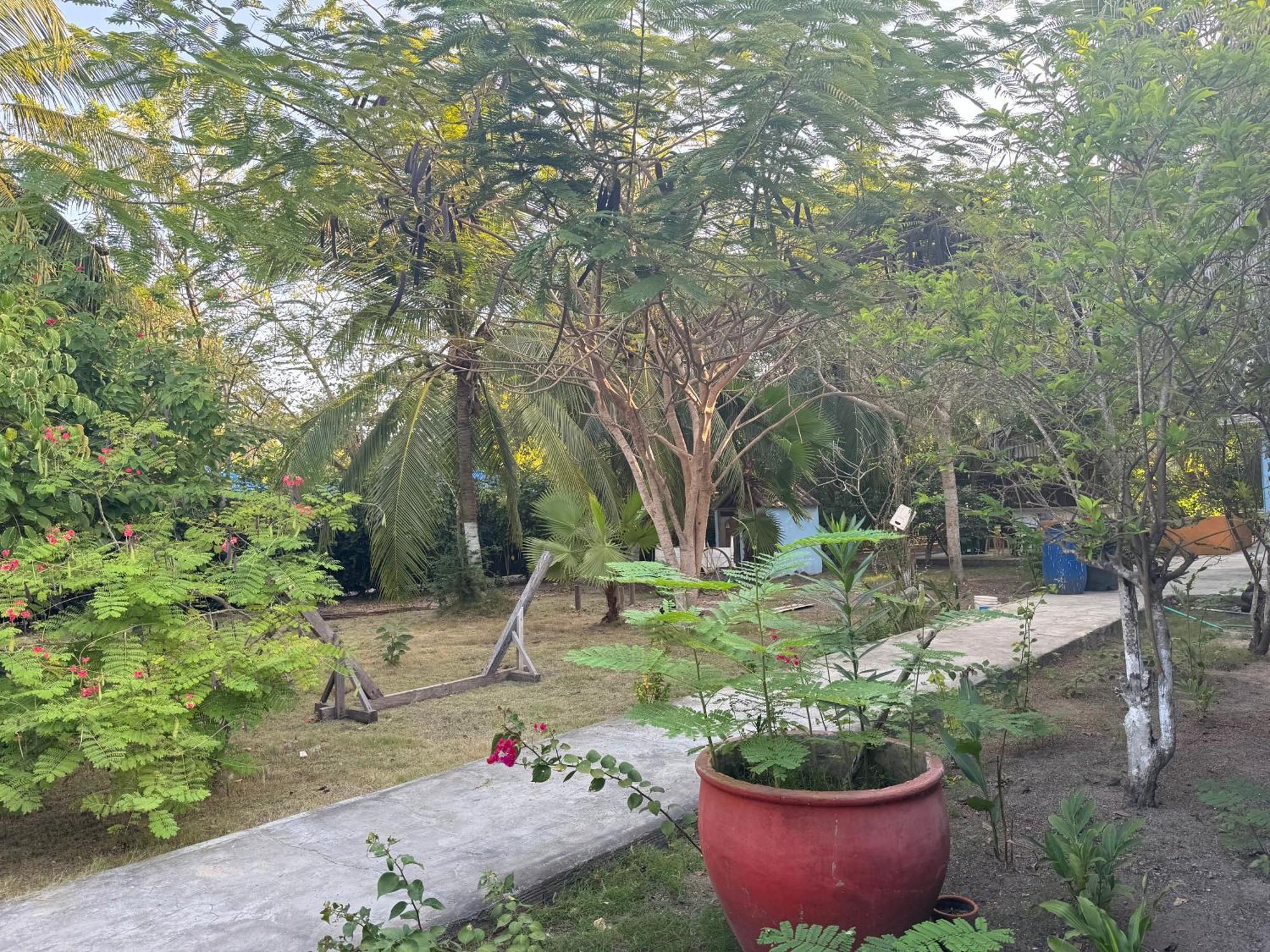 Casa Lolas House By Ctglifetravelers Isla Grande  Exteriér fotografie